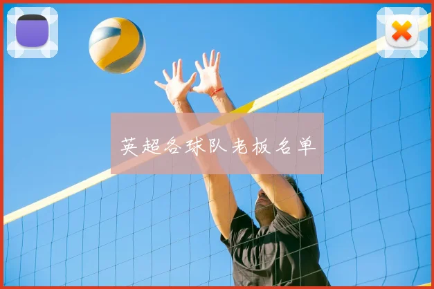 英超各球队老板名单