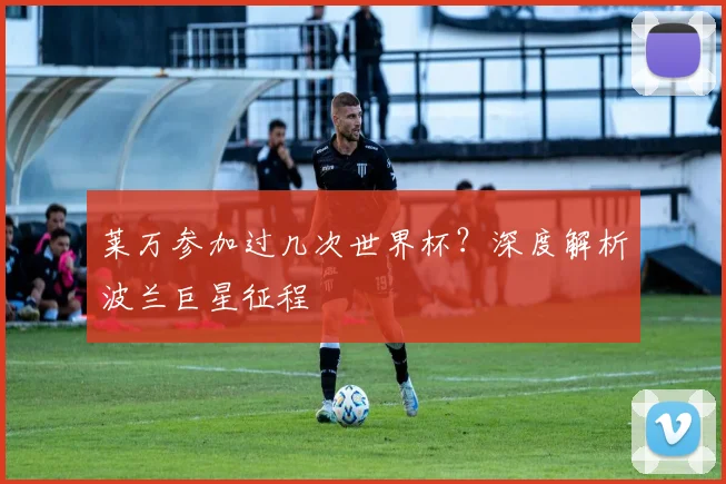 莱万参加过几次世界杯？深度解析波兰巨星征程