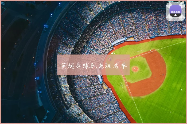 英超各球队老板名单