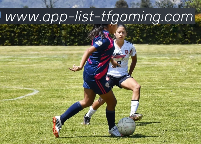 雷火电竞APP发展历程